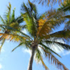 Meet your Posher, Shawn